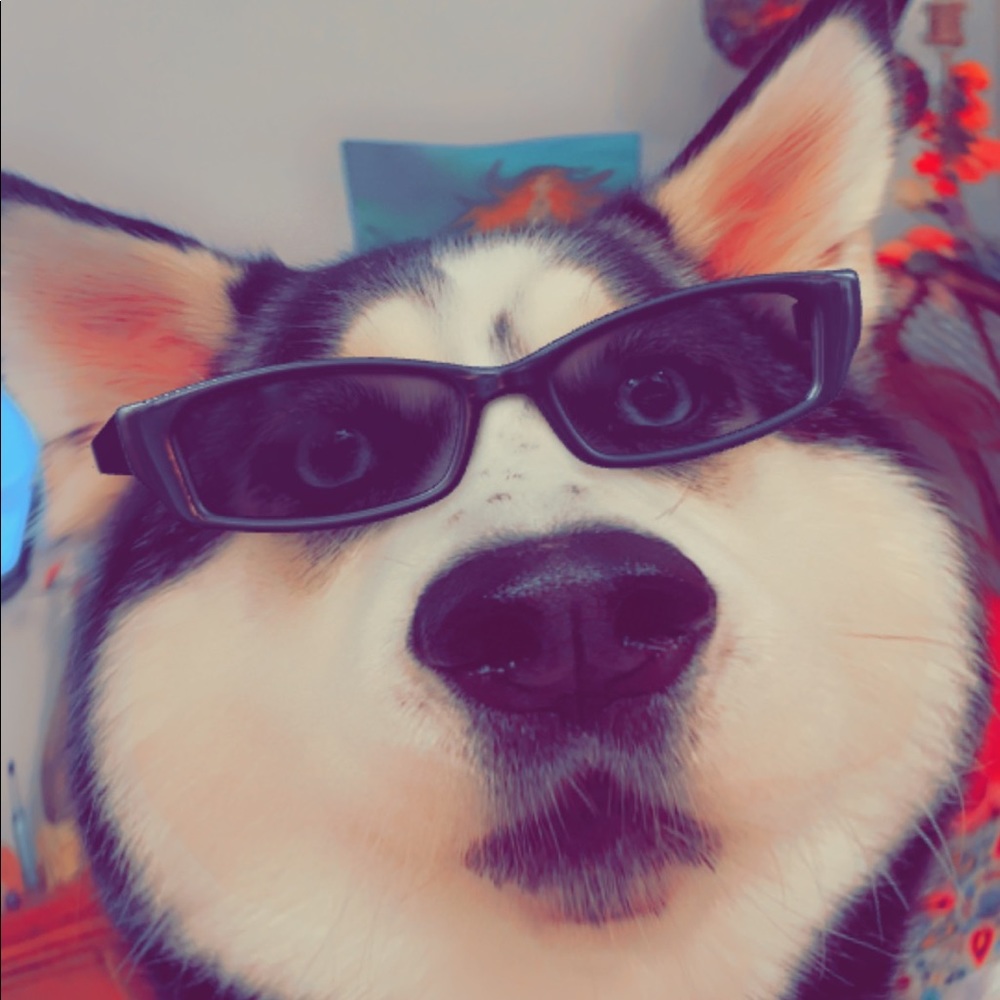 Meet your Posher, Melanie